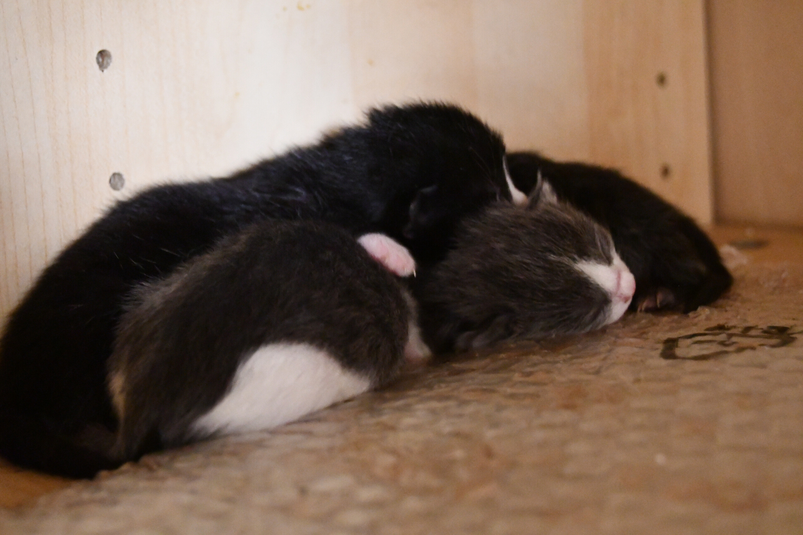 Week 2 - Photo 10