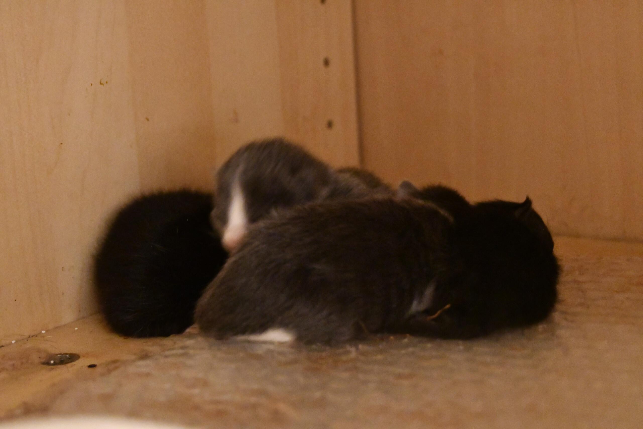Week 2 - Photo 8