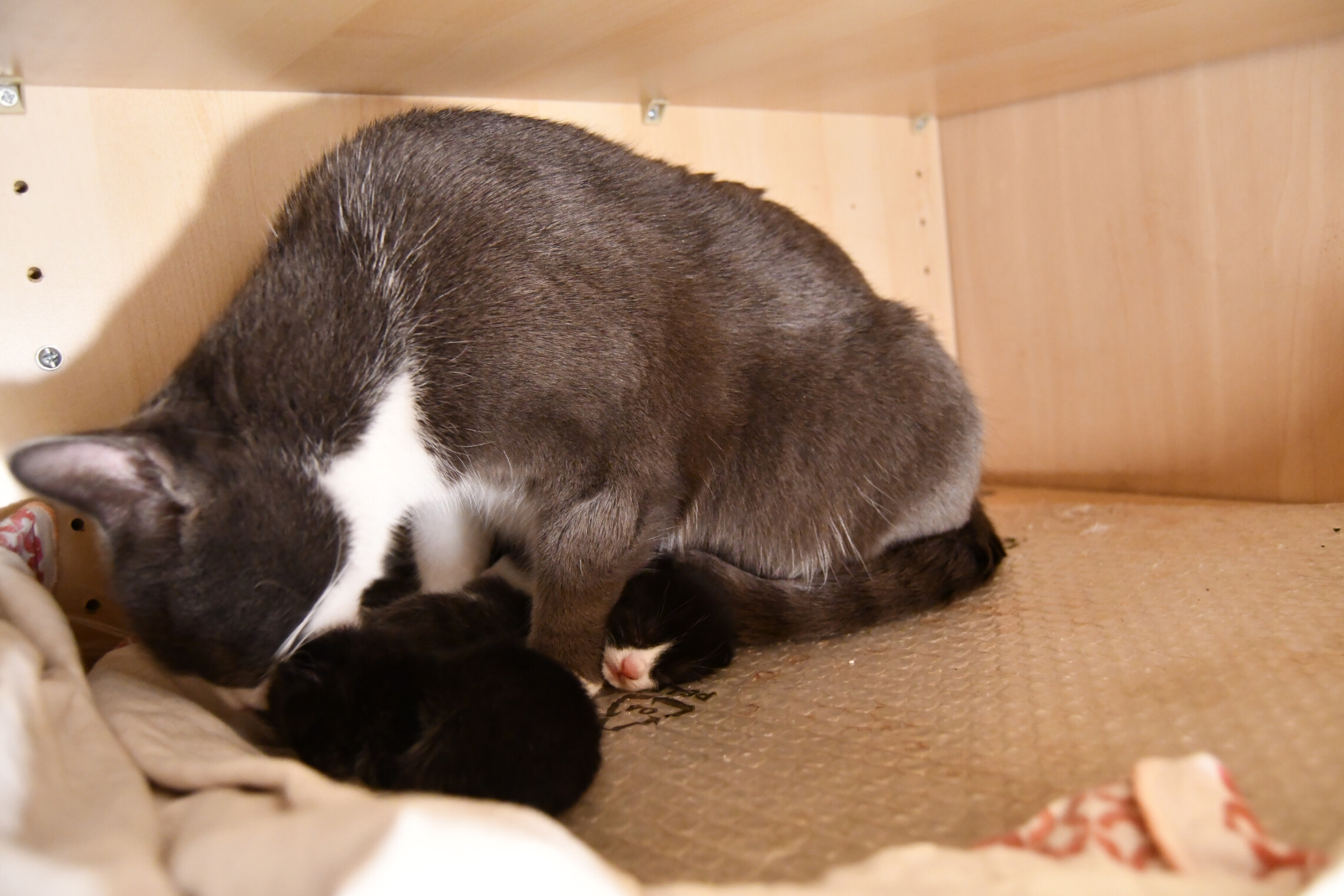 Week 6 - Photo 5